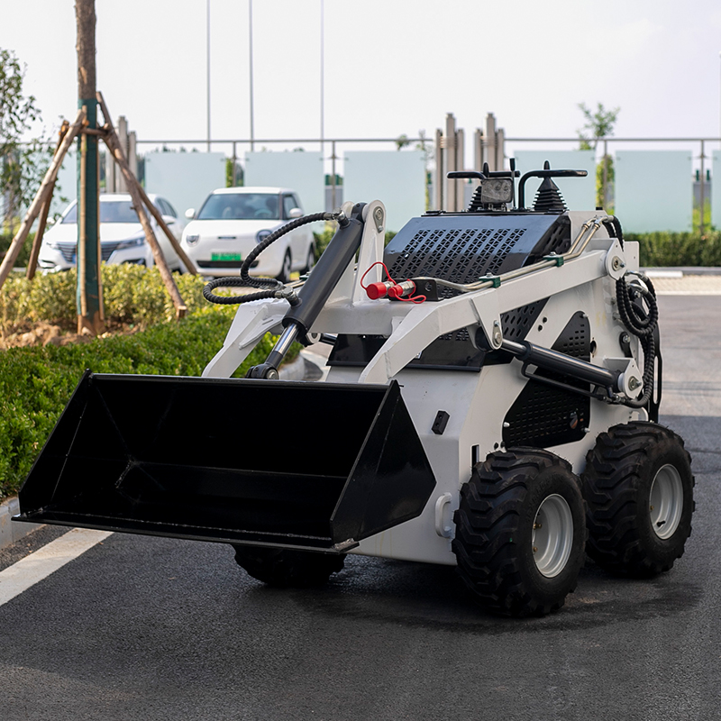 Minicargadora diésel barata, c - Skid Steer Loader reseña y precio
